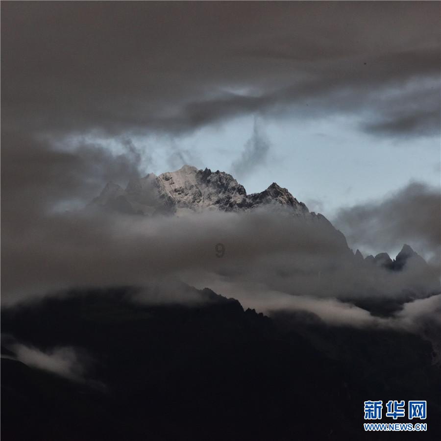 萌宠好又多