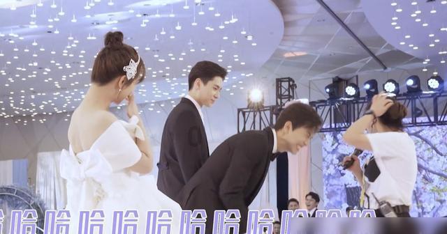 细胞分裂5