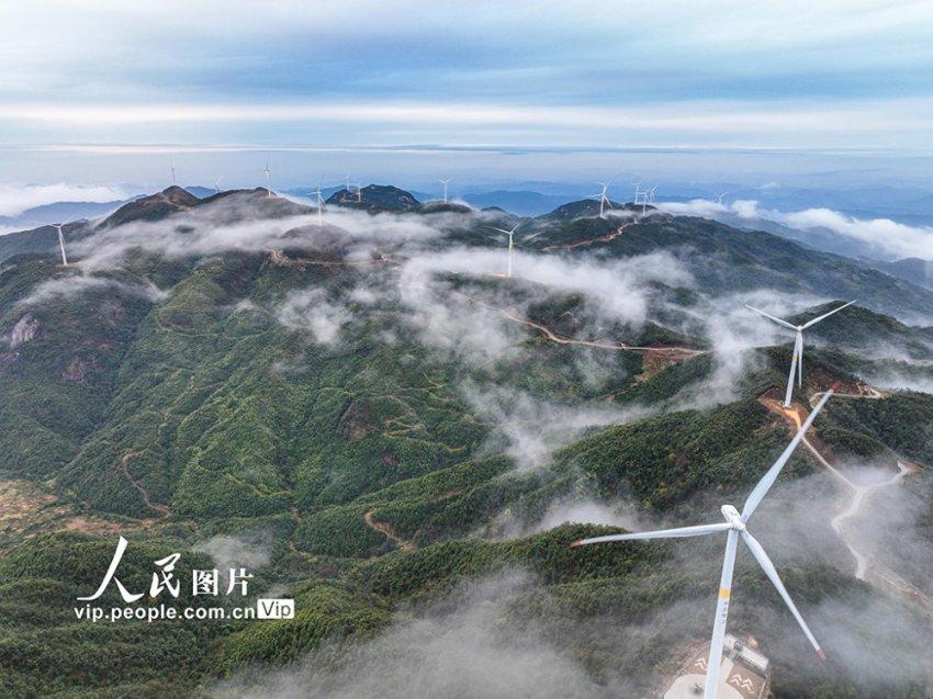 沈阳市开通了吗？游戏画面